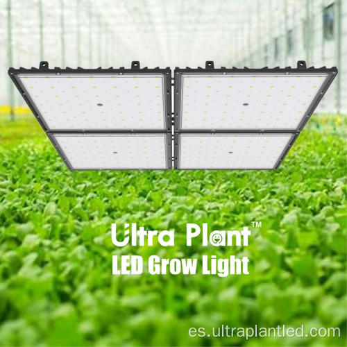 Luz de cultivo LED mejorada de 660nm para fructificación